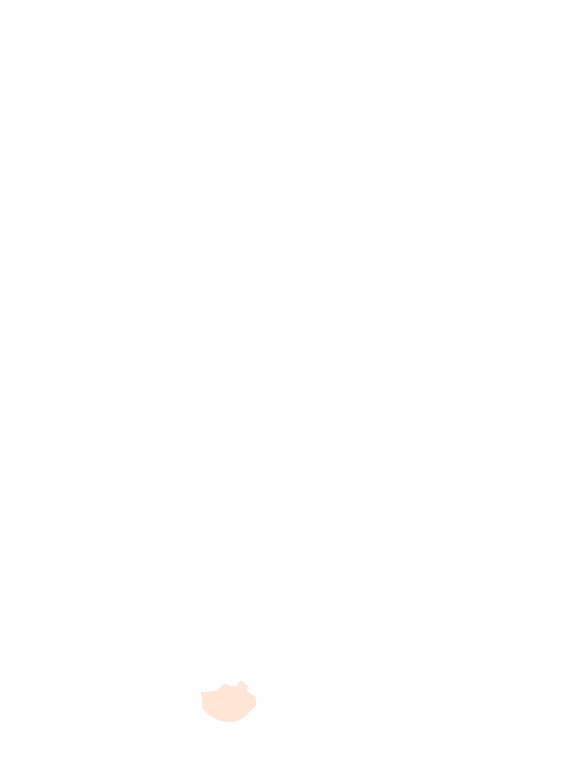 Lunate