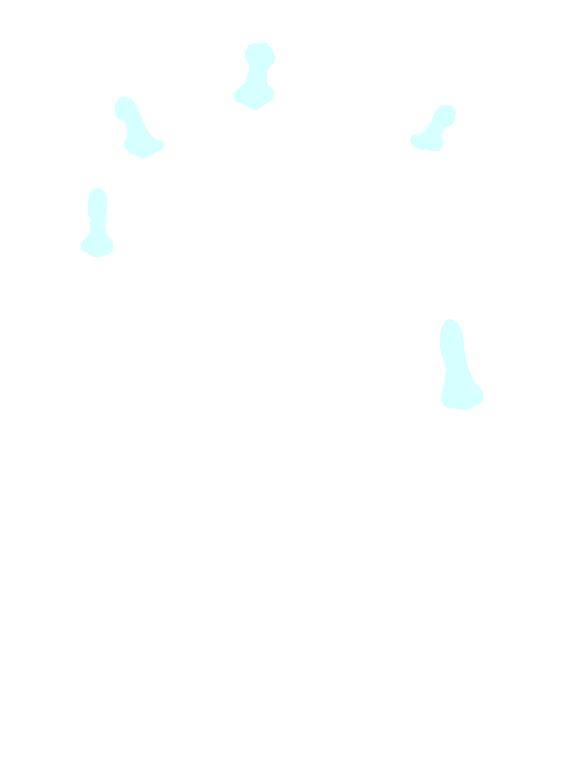 Distal