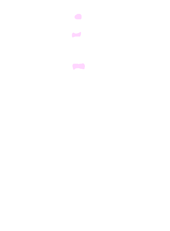 Head