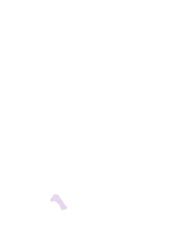 Triquetral