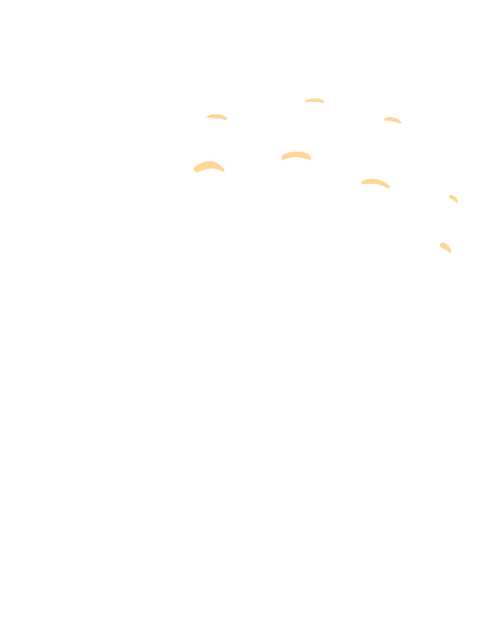 Dorsal Digital Expansions