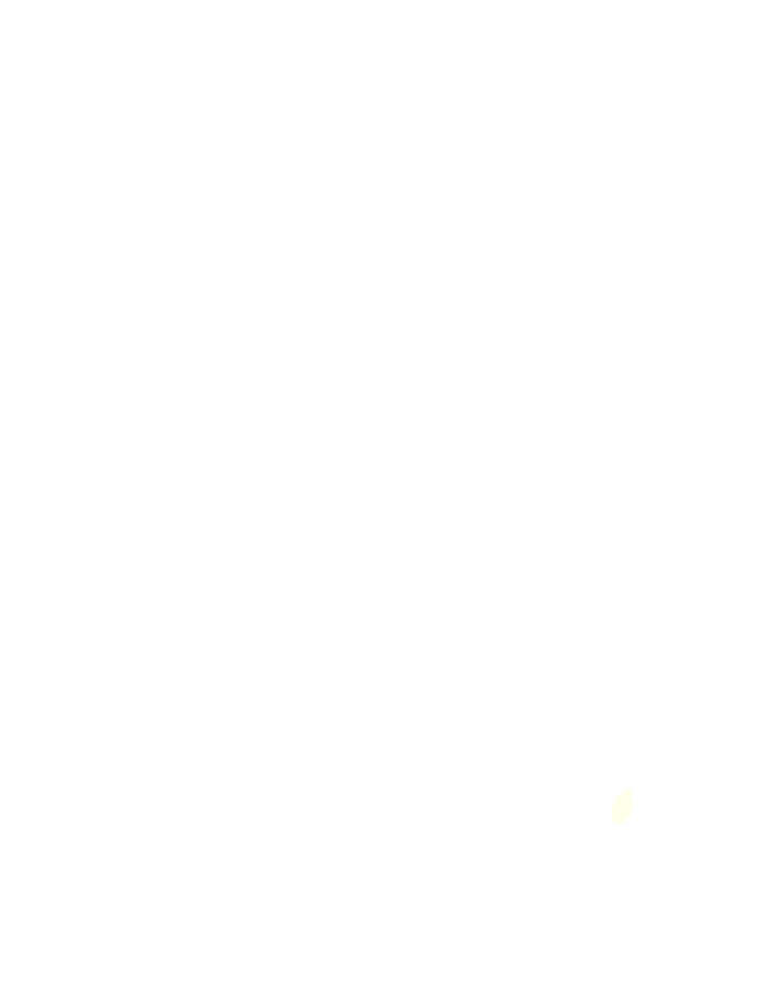 Extensor Carpi Ulnaris