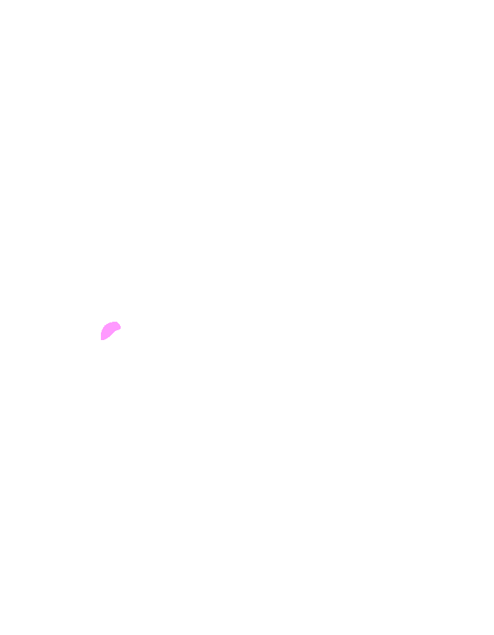 Extensor Pollicis Longus