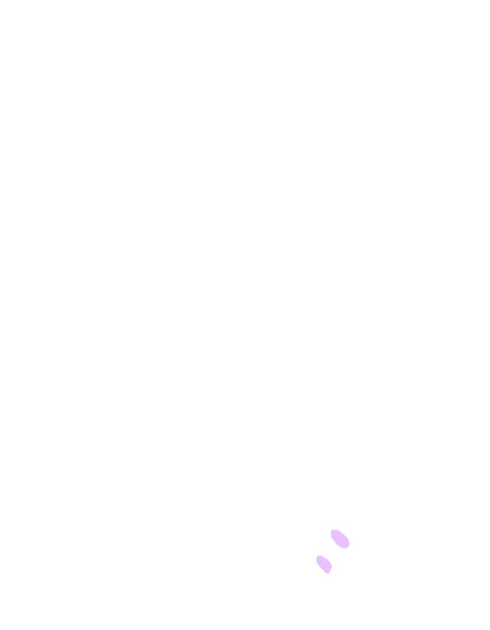 Abductor Pollicis Longus