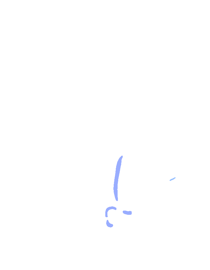 Adductor Pollicis