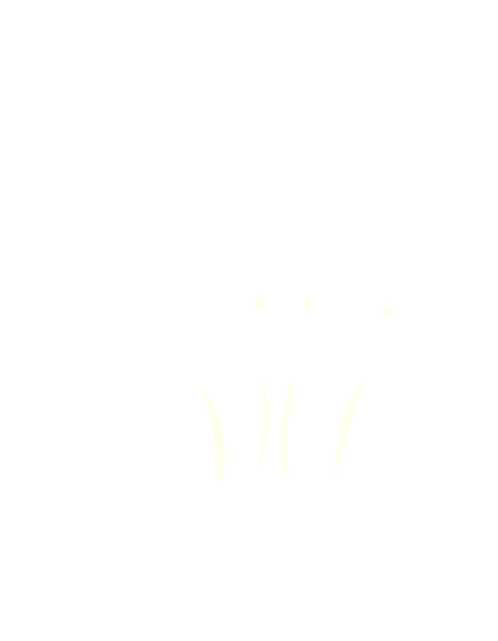 Dorsal Interossei