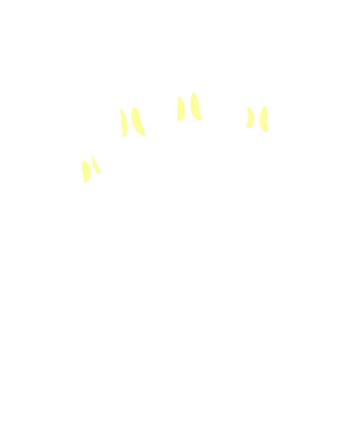 Flexor Digitorum Superficialis