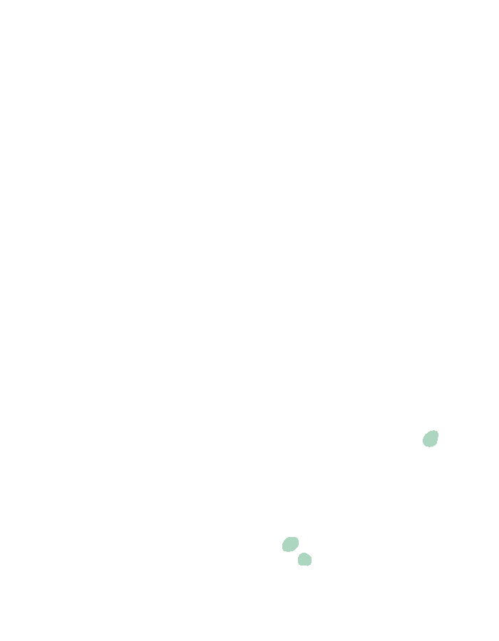 Flexor Pollicis Brevis