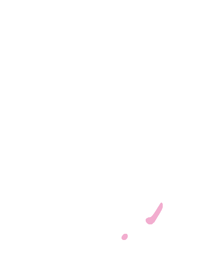 Opponens Pollicis
