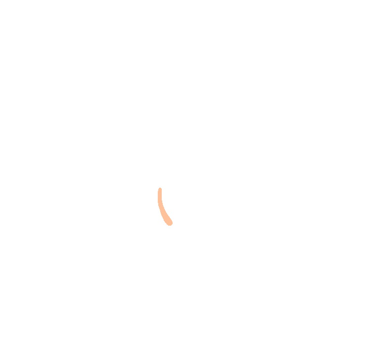 Biceps Brachii - Short Head