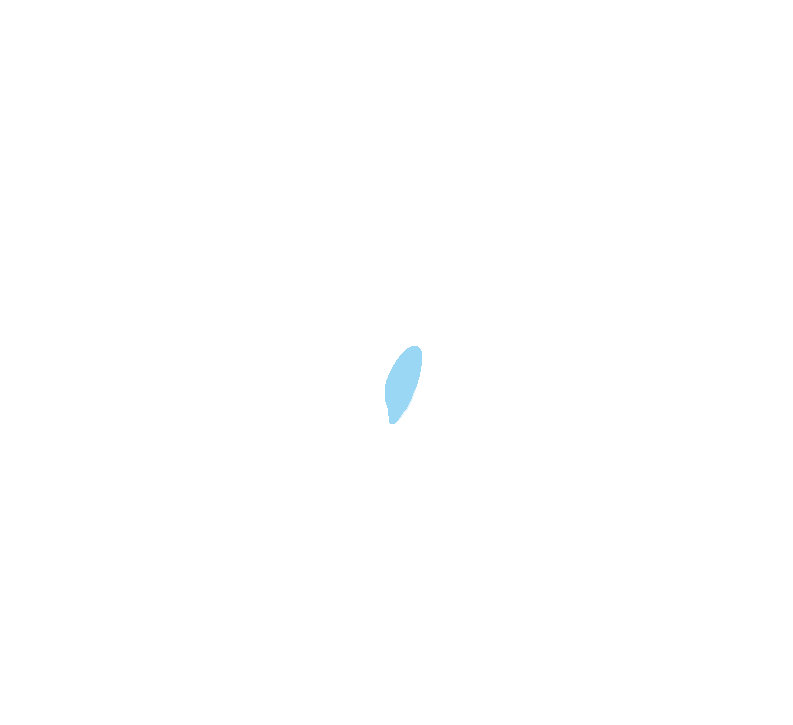 Pectoralis Minor
