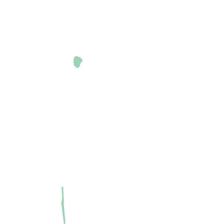 Coracobrachialis
