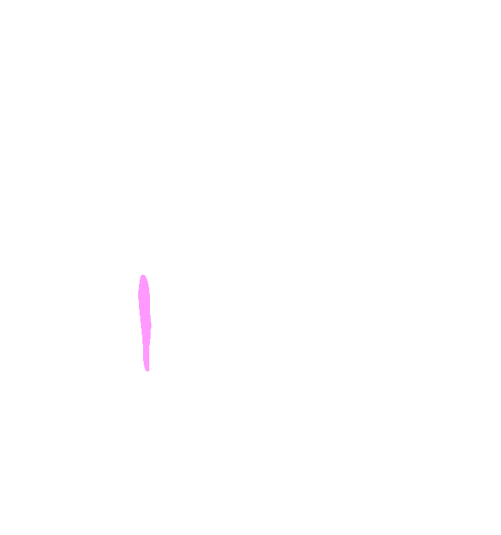 Latissimus Dorsi
