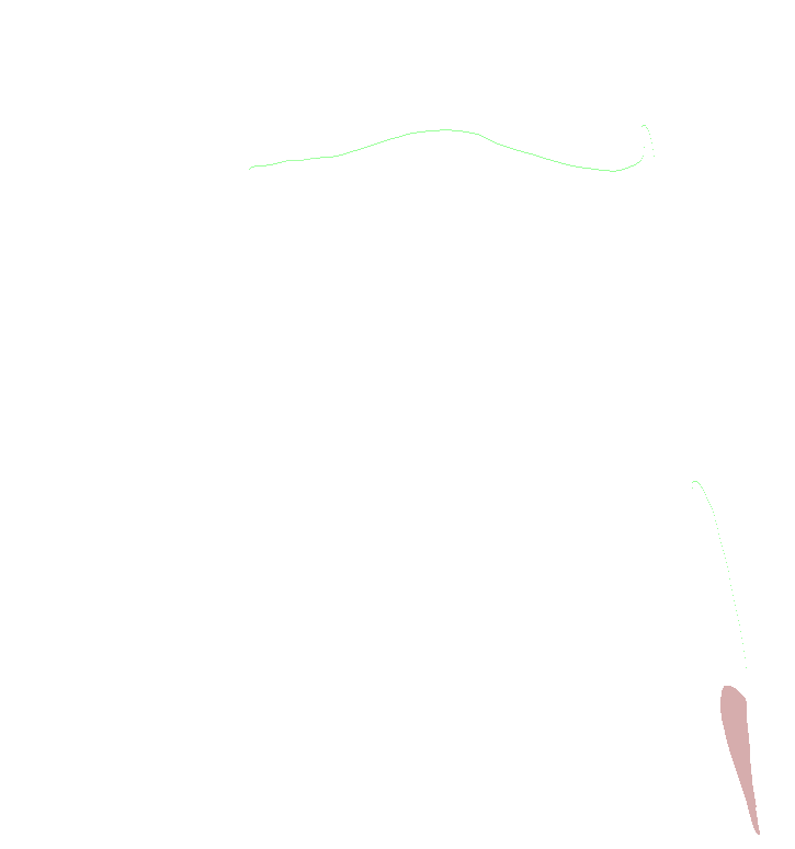 Brachialis