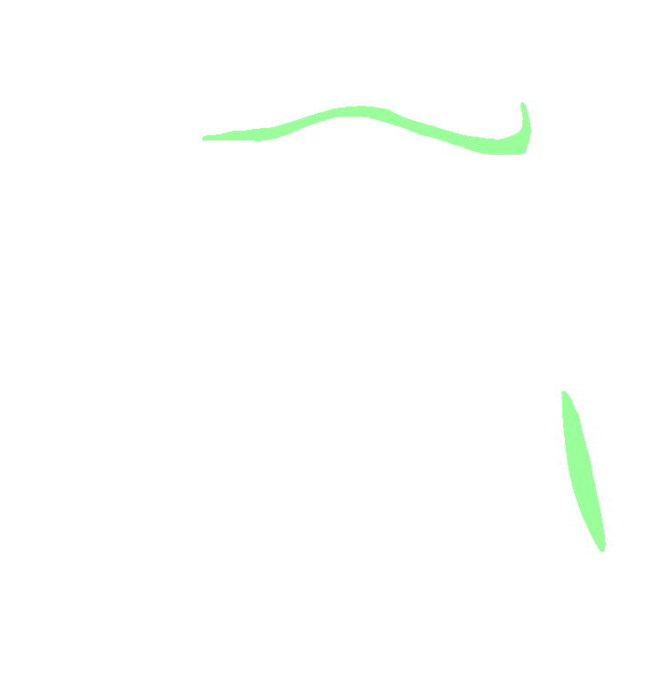Deltoid