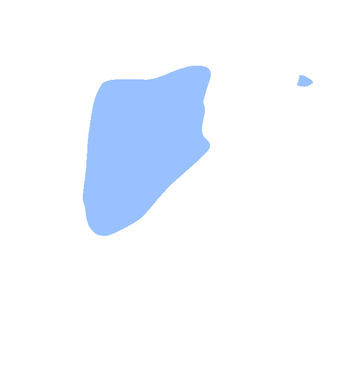 Infraspinatus