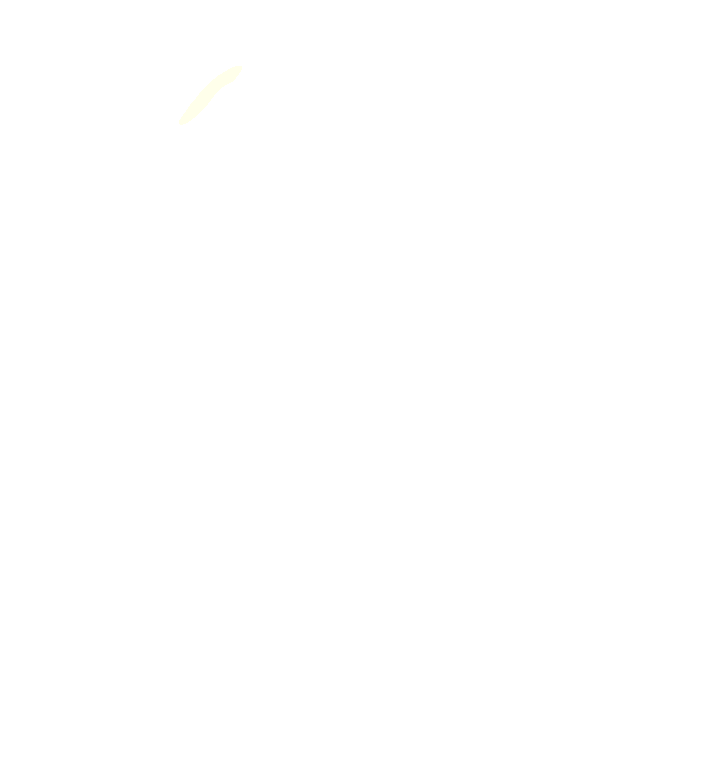 Levator Scapulae