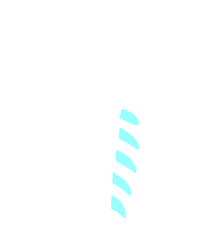 Serratus Anterior