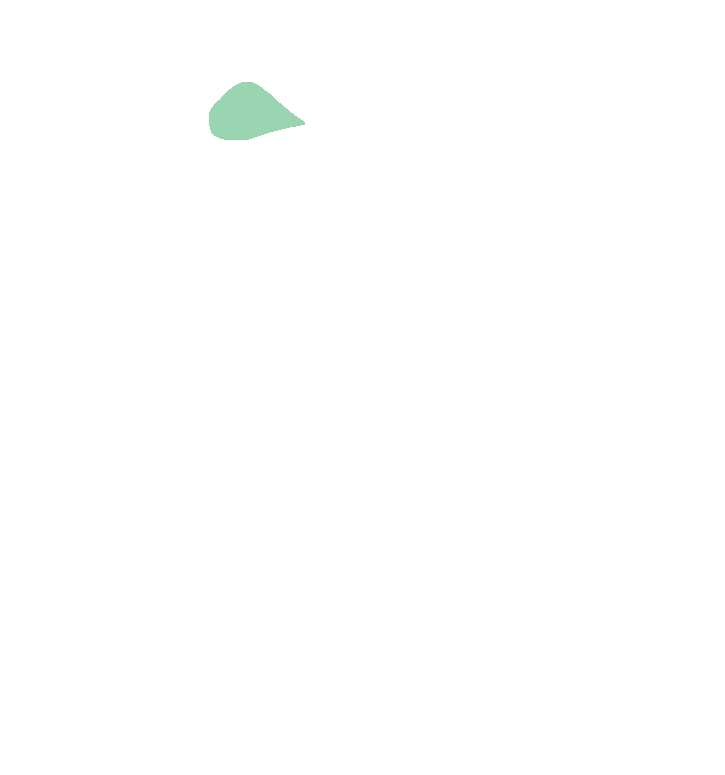 Supraspinatus