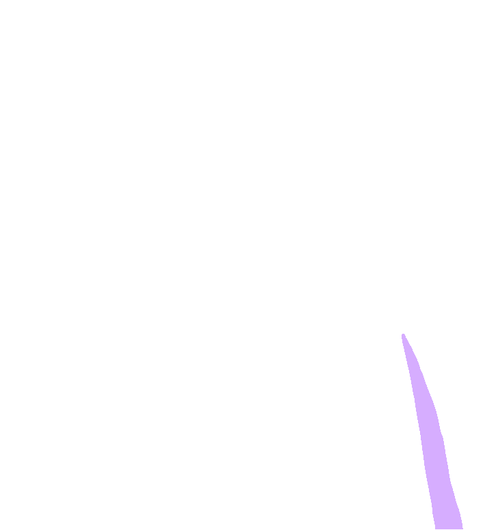 Triceps - Medial Head