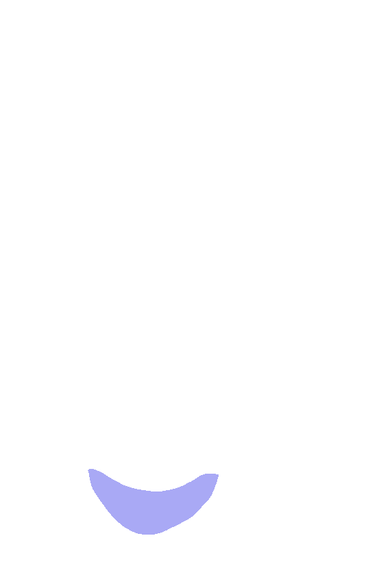 Inferior Angle