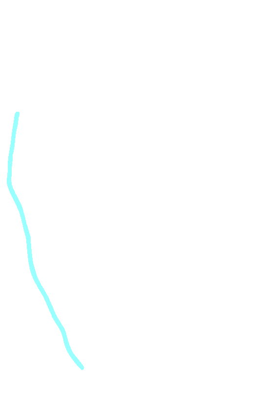 Medial Border