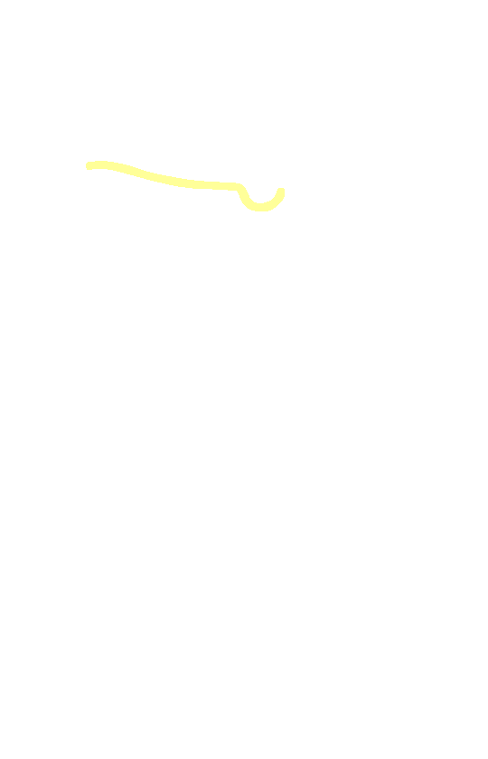 Superior Border