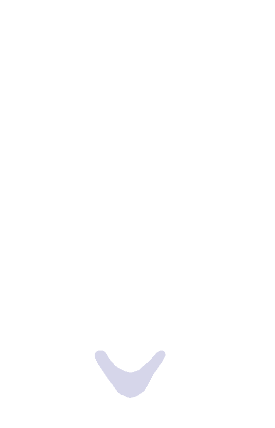 Inferior Angle