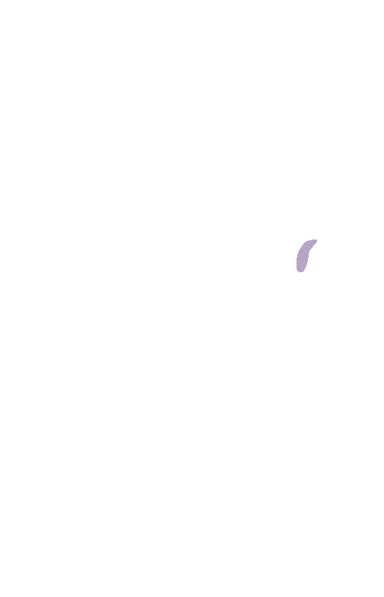 Infraglenoid Tubercle