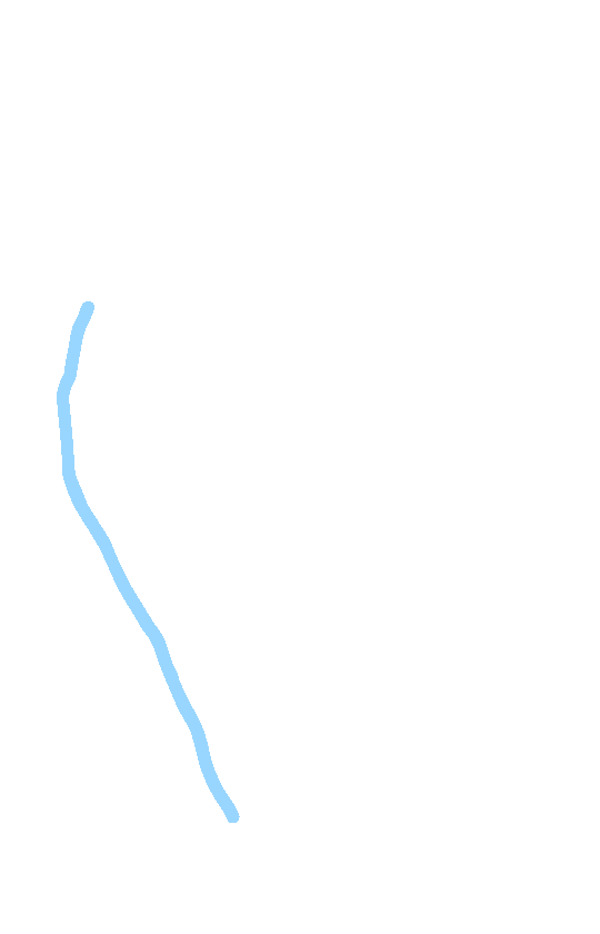 Medial Border