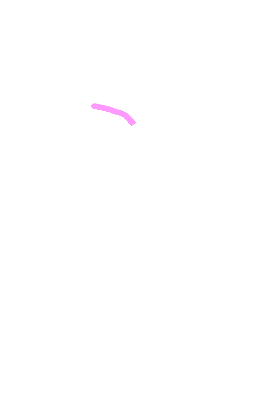 Superior Border