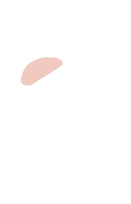 Supraspinous Fossa