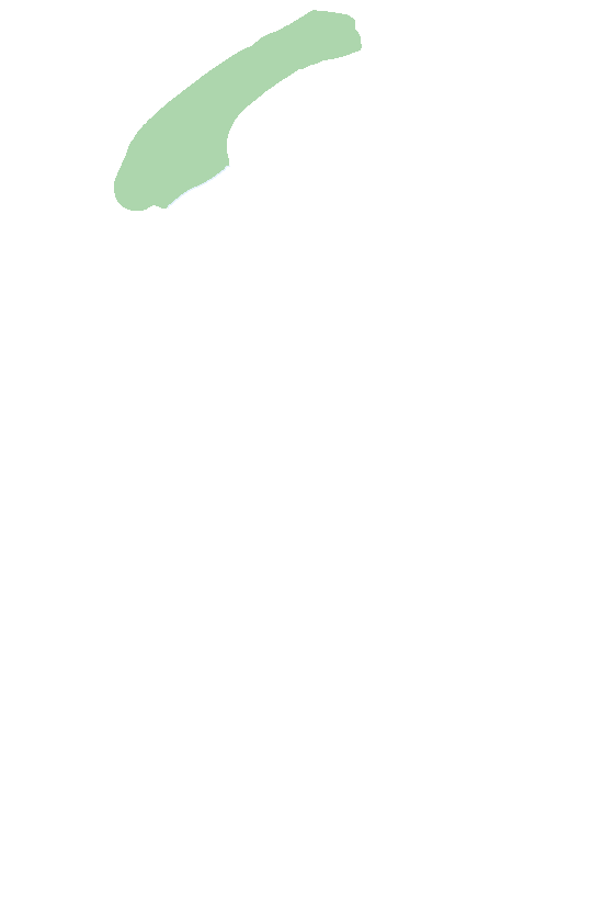 Acromion