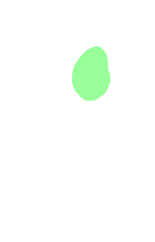 Glenoid Cavity