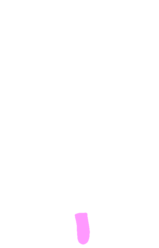 Inferior Angle