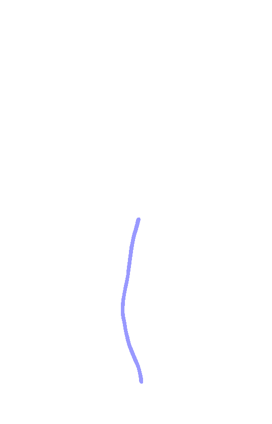 Lateral Border