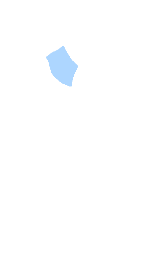 Spine