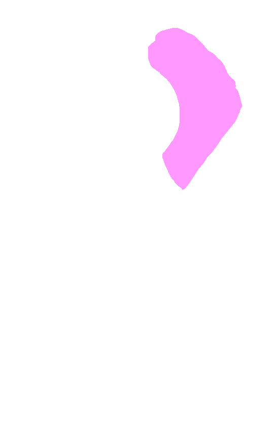 Acromion