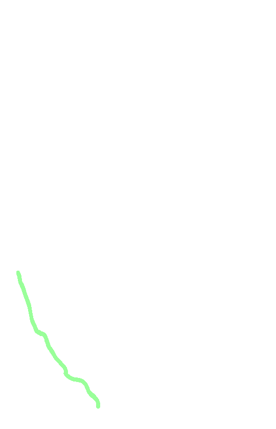 Medial Border