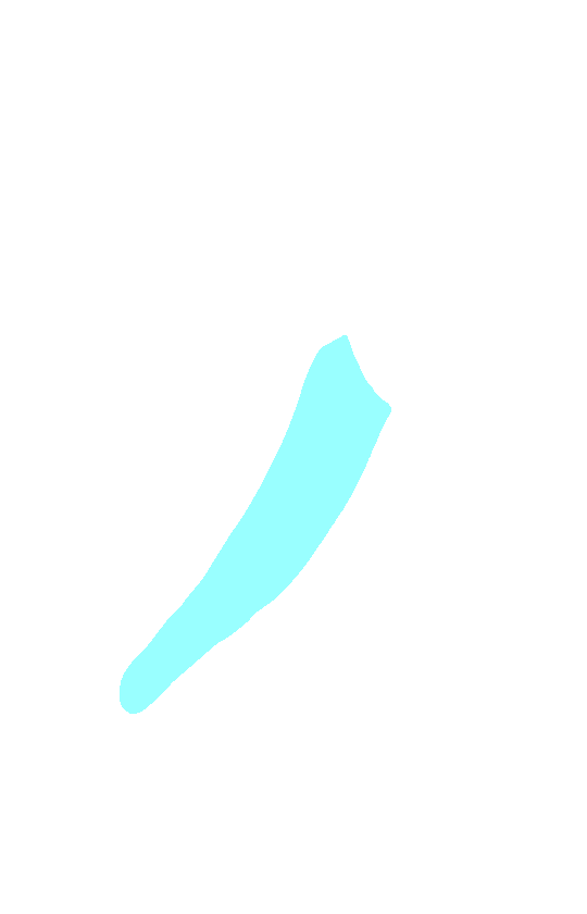 Spine