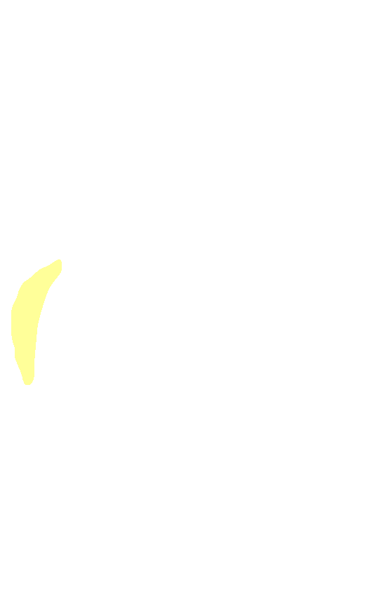 Superior Angle