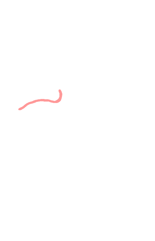 Superior Border