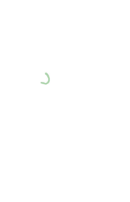 Suprascapular Notch