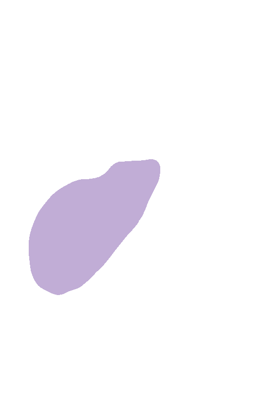 Supraspinous Fossa