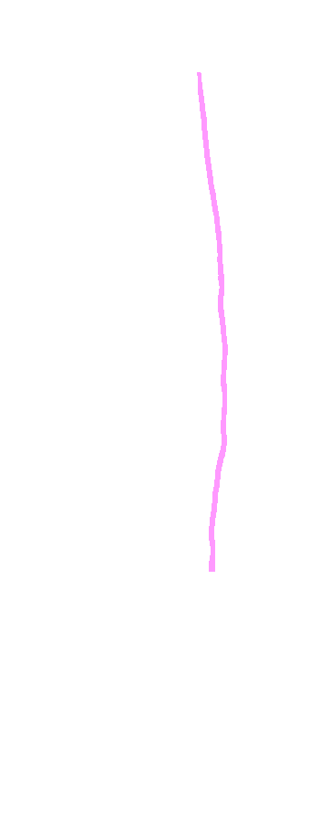 Anterior Border