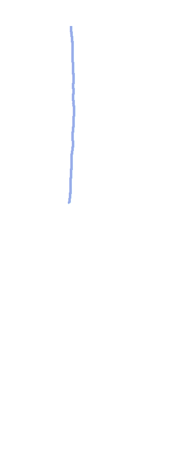 Interosseous Border