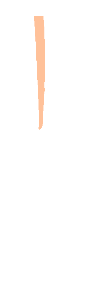 Posterior Surface
