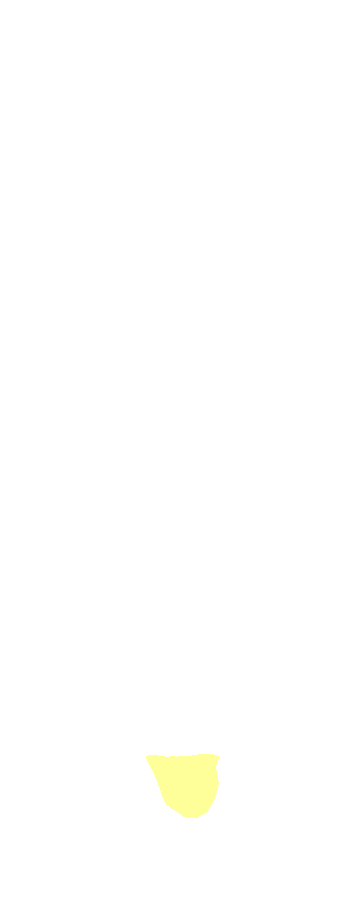 Styloid Process