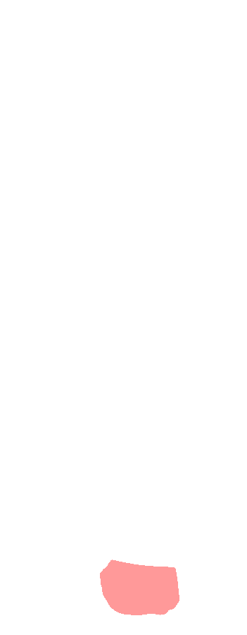 Head