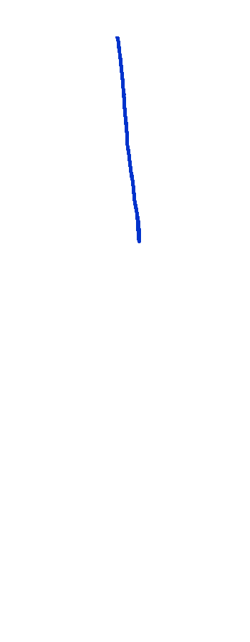 Interosseous Border